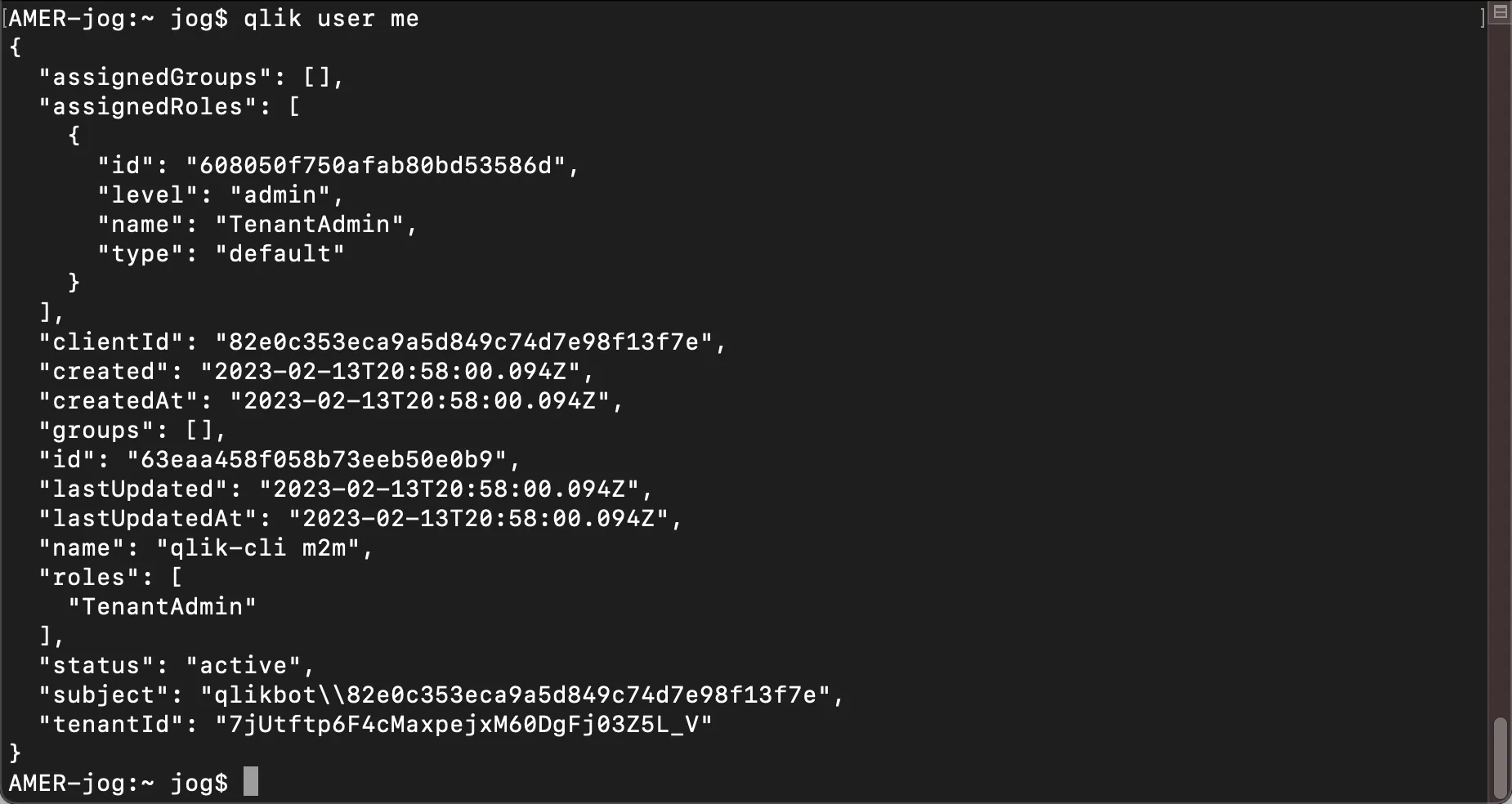 Example qlik-cli usage with M2M OAuth2 client